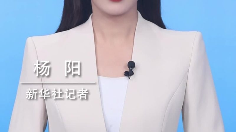 大型企业数字化转型的关键要素解析**